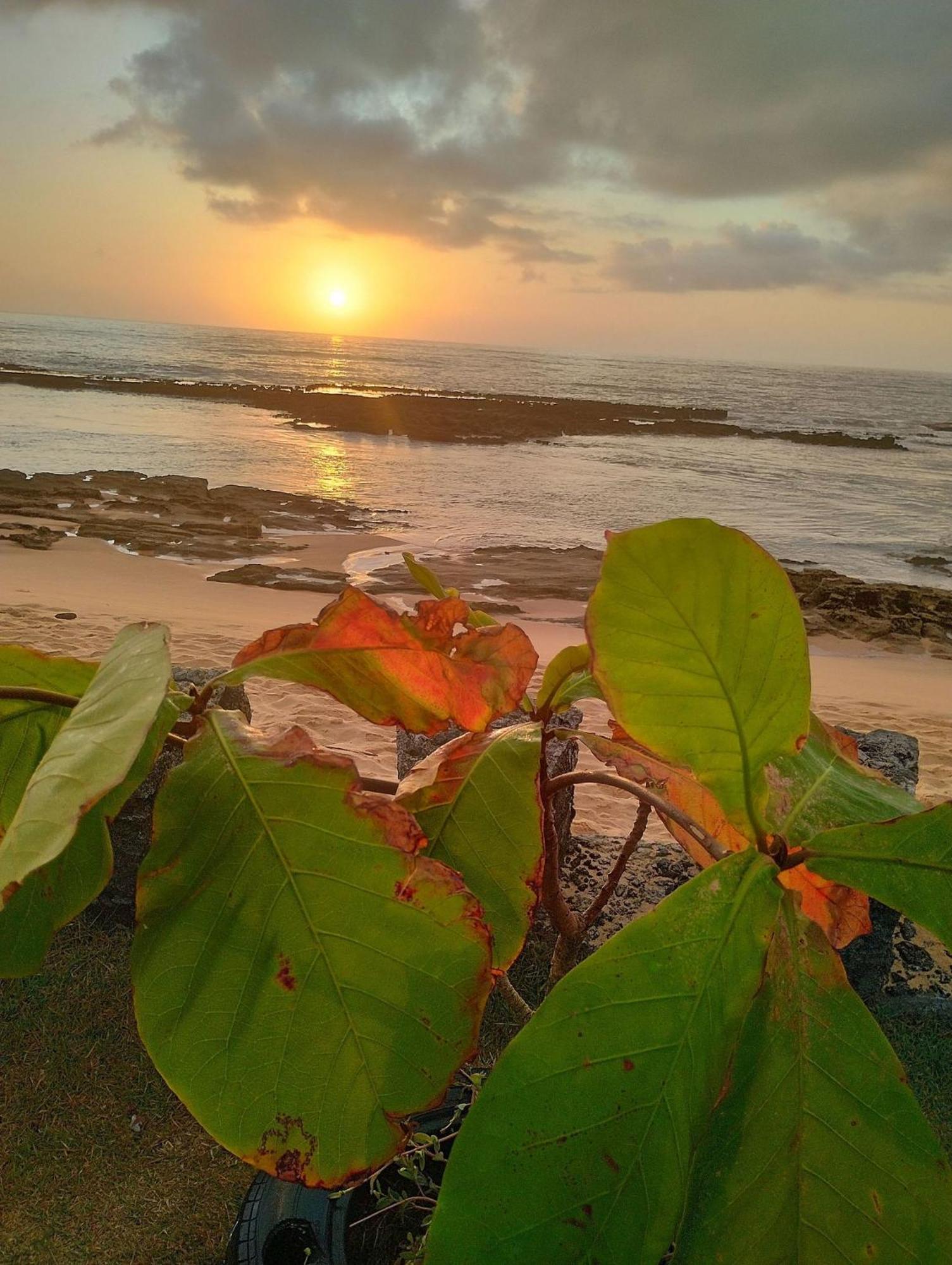 Pousada Tropicalia Tranquilidade A Beira Mar Santa Cruz Cabralia Ngoại thất bức ảnh